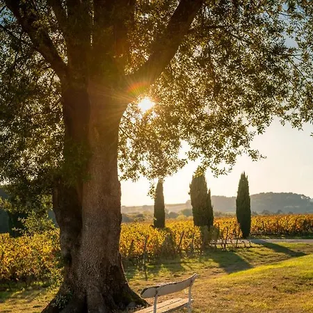 Couette-café Château Malromé 4*