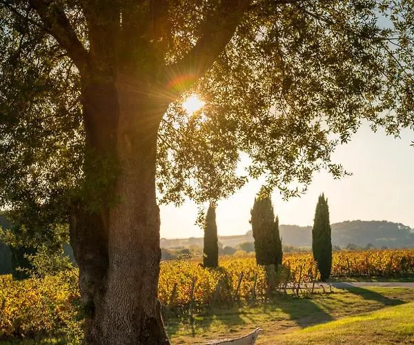 Bed and Breakfast Chateau Toulouse-lautrec 4*